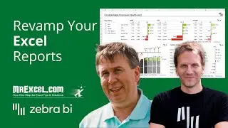 🔥 How to Create Engaging Excel Reports: @MrXL and @ZebraBI