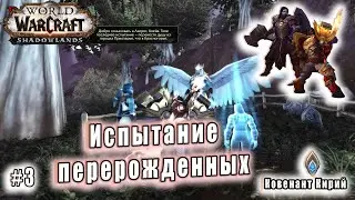 World of Warcraft : Shadowlands - Кирии: Испытание Перерожденных (3)