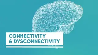 HBP Focus Area - Connectivity and Dysconnectivity