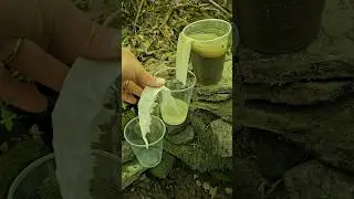 Filtering sediment from muddy water with a paper towel and some cups