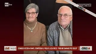 Coniugi uccisi a Fano, confessa il figlio - Ore 14 del 25/06/2024