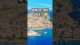 MOST STUNNING GIANT CRUISE SHIPS AND WHY THEY FLOAT!!#trendingtoday #viralshorts#shorts