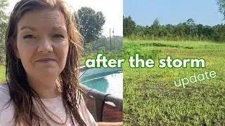 After the Storm... (update)  Queen Rose || Large Family Vlog