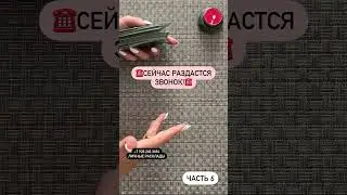 28 марта 2024 г.