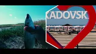 Кефаль  - кто она ??? Что за рыба кефаль? Где водится кефаль? Рыбалка на кефаль ?