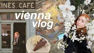 My First Solo Trip to Vienna ☕️ 3 Days in Austria VLOG