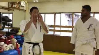 Alistair Overeem - Kyokushin Karate training.