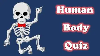 Can You Guess These Human Body Parts? Quiz | ESL Game