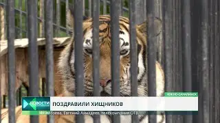 День тигра отметили в сахалинском зоопарке