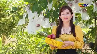 Sức sống ở vùng căn cứ cách mạng