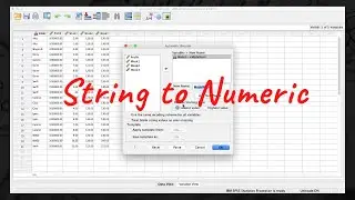 Change String Variable to Numeric Variable