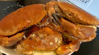 Snaggy Day Out at Sea ! Hand Pulling Crab & Lobster Pots ! Catch Clean Cook