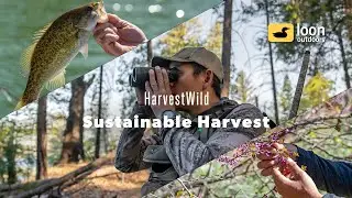 Loon Outdoors Presents: HarvestWild