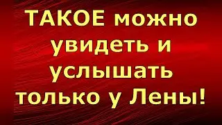 Лена и Ваня LIFE \ ТАКОЕ можно увидеть и услышать только у Лены! \ Обзор влогов