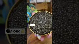 13-ЛЕТНИЙ ОСЕТР ВСЕГДА СВЕЖАК ENG SUB 