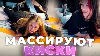 Массируют КИСКИ Друг Друга 🐱