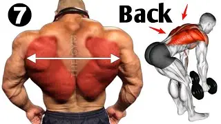 7 Perfect back exercises ( fastest )