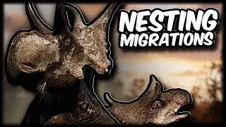 Nesting Migrations | Yet Another Idea | The Isle Evrima