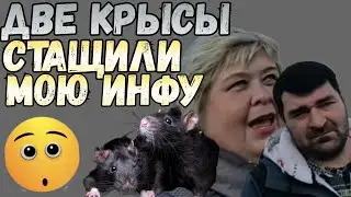 Ольга Уралочка live /Две крысы стащили мою информацию /Обзор Влогов /Уралочка и Сафар /