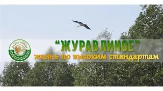 Что такое гармония в аграрном секторе