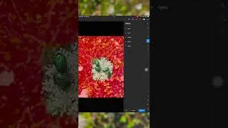 How to edit photos on an iPad (Selective Color)