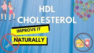 Raise Your HDL naturally (Improve Good Cholesterol) #shorts