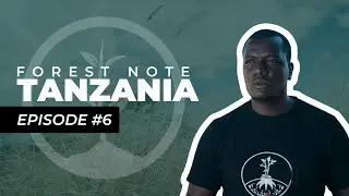 Rain Water Harvesting In Dry Areas | Forest Note: Tanzania | One Tree Planted