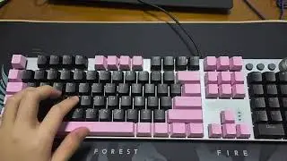 Lubed + Foams (Budget Mechanical Keyboard) | Aula F2088 | Sound test