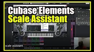 Elevate Your Music Production with Cubase Elements' Scale Assistant