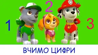 Щенячий Патруль Вчить  Цифри ☀️  від 1 до 10 ☀️ розвиваючі мультики для дітей українською