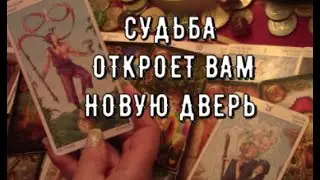 Какую Дверь откроет Судьба🚪 К чему ведет этот Путь 🌳 Что предскажут карты🎯 Таро знаки судьбы #tarot