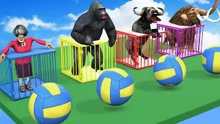 Volleyball Game With Gorilla Cow Cartoon Buffalo Dinosaur Mammoth Elephant  Squid Game Doll