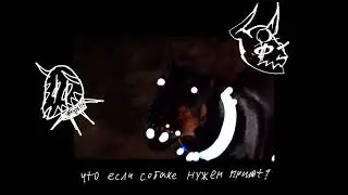 MOCKUMENTARY – СОБАКА