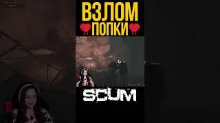 ВЗЛОМ ПОПКИ #shorts #tiramisu4ka #scum #scumигра #шортс #шорт #шортсы #shortvideo #игры