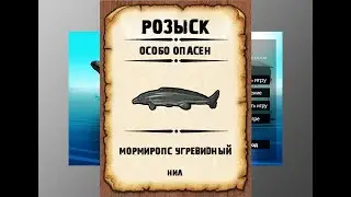 Мутанты рр3. Мормиропс угревидный рр3. Нил.