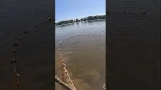 Рыбалка на невод Рыба есть но мало #shorts #fishing #рыбалка #сети