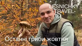 Останні гриби жовтня