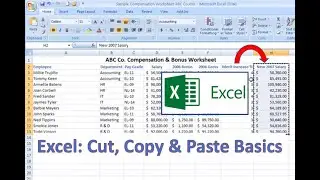 Excel How-To: Cut, Copy and Paste Basics