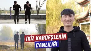 İkiz kardeşlerin canlılığı