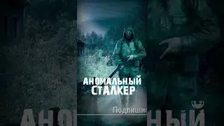 S.T.A.L.K.E.R - Аномальный сталкер. Рассказчик Сидорович