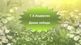 Андерсен Дикие лебеди