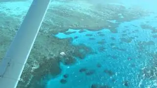 The Great barrier reef