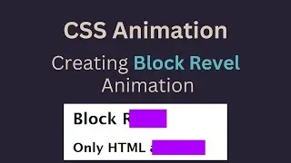 Create a Stunning Block Reveal Animation with Pure CSS