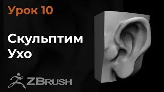 Урок 10. Моделирование ушей в Zbrush