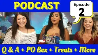 Answering Your Questions, Opening Mail, and Trying Treats with Hannah, Toy, Tori, and Boo!