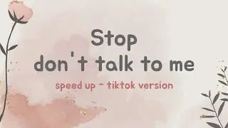 Stop Don't Talk To Me (Speed Up Tiktok Version)| Lyrics Terjemahan