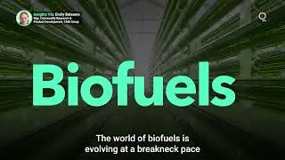 How Is Global Production of Biofuels Accelerating?