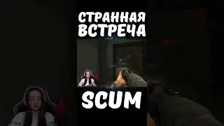 СТРАННАЯ ВСТРЕЧА #shorts #scum #pvp #scumигра