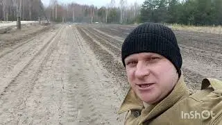 ТЮЛЬПАНЫ ВСХОДЯТ на грядке. Лишь бы не было мороза. Весна 2023