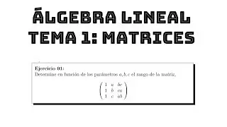 ejercicio 01 rango de una matriz con parámetros || álgebra lineal tema 1 matrices